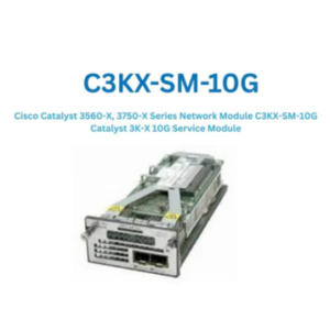CISCO C3KX-SM-10G